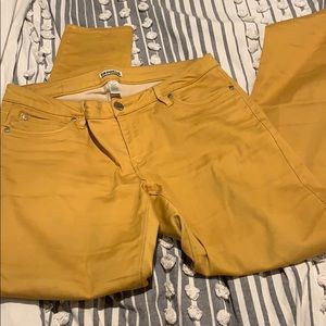 yellow express pants
